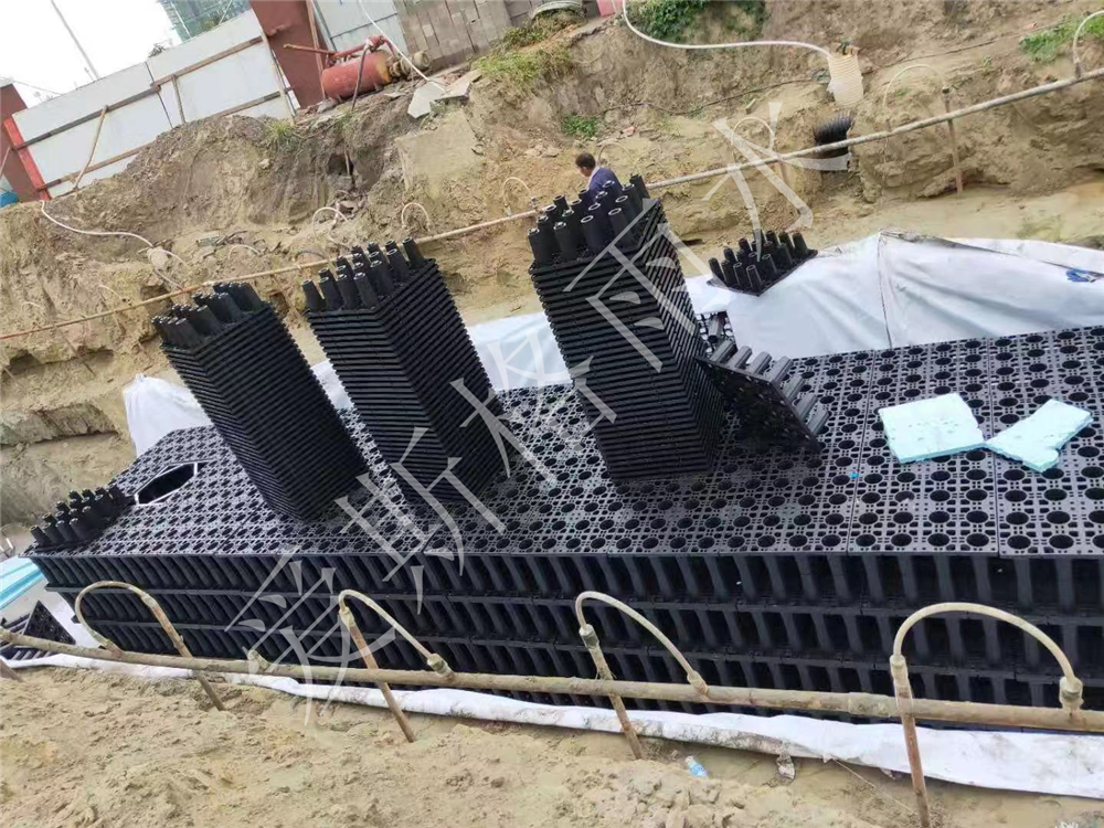 泰州中國醫(yī)藥城實驗小學